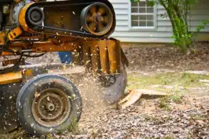 Stump grinder for rent in Montgomery